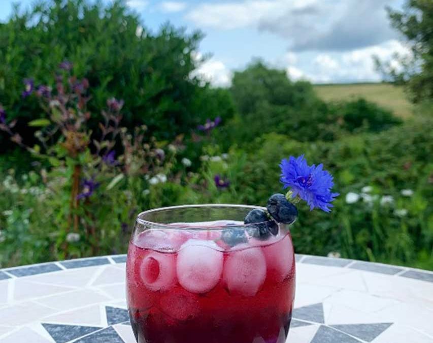 July Cocktail of the Month Bockhampton Blueberry Bliss